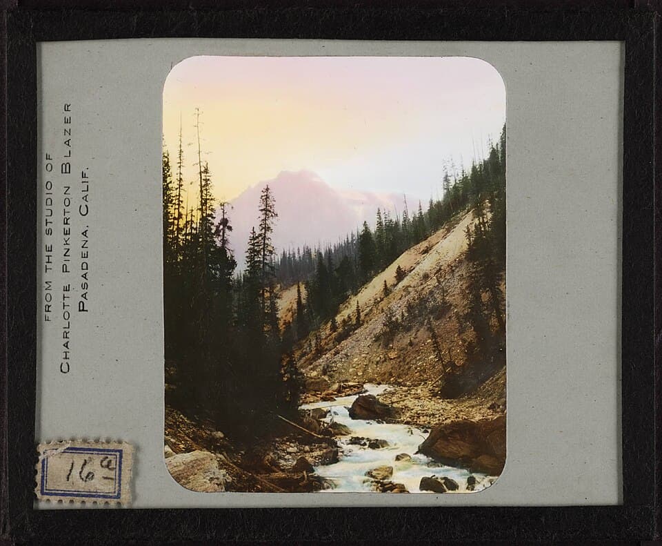 Charlotte Craft Beer Half Marathon - Relay & 5 Miler