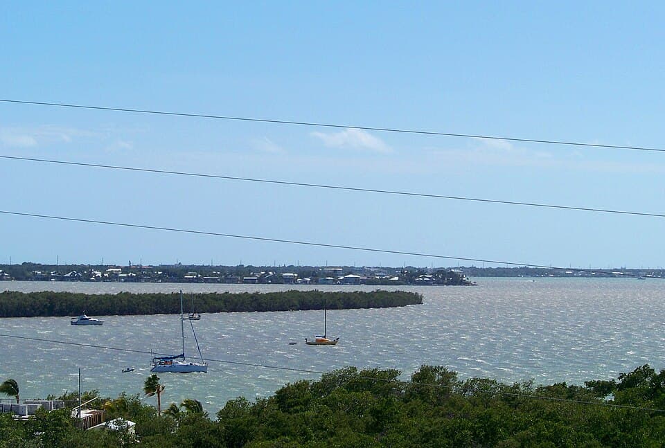 Southernmost Half Marathon and 10K