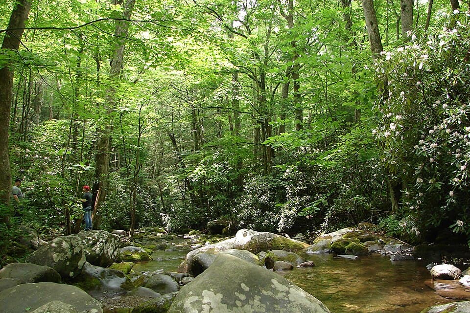 Chicagoland Spring Marathon