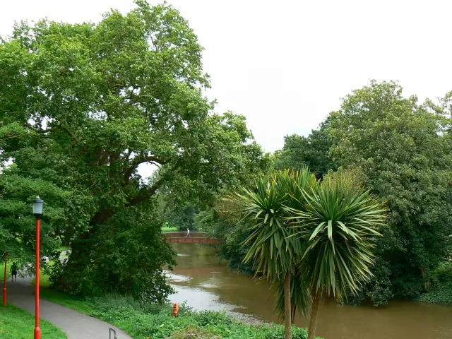 Chippenham Half Marathon