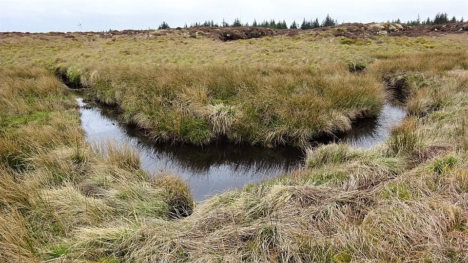 Run the Blades Half Marathon