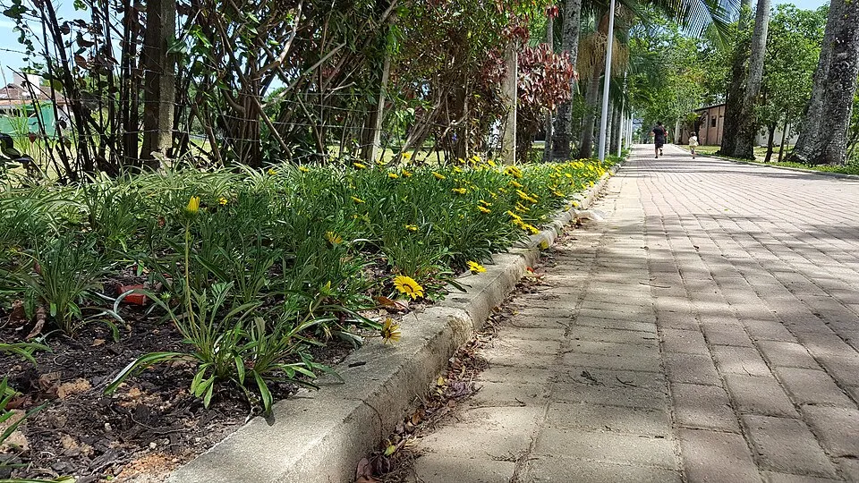 Meia Maratona Internacional de Florianópolis