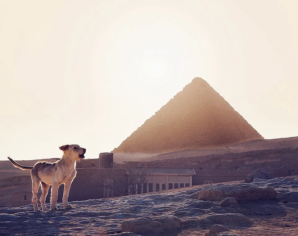 Pyramids Half Marathon