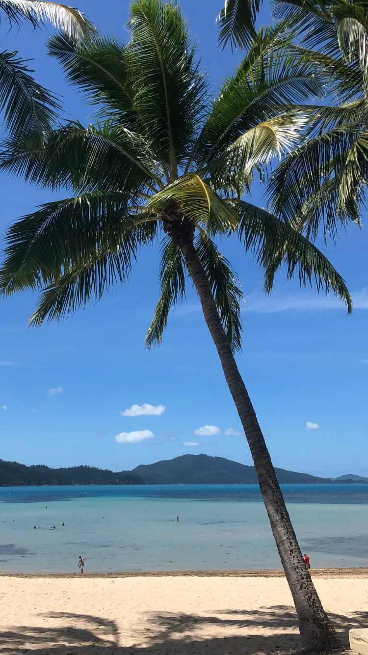 Hamilton Island Hilly Half Marathon