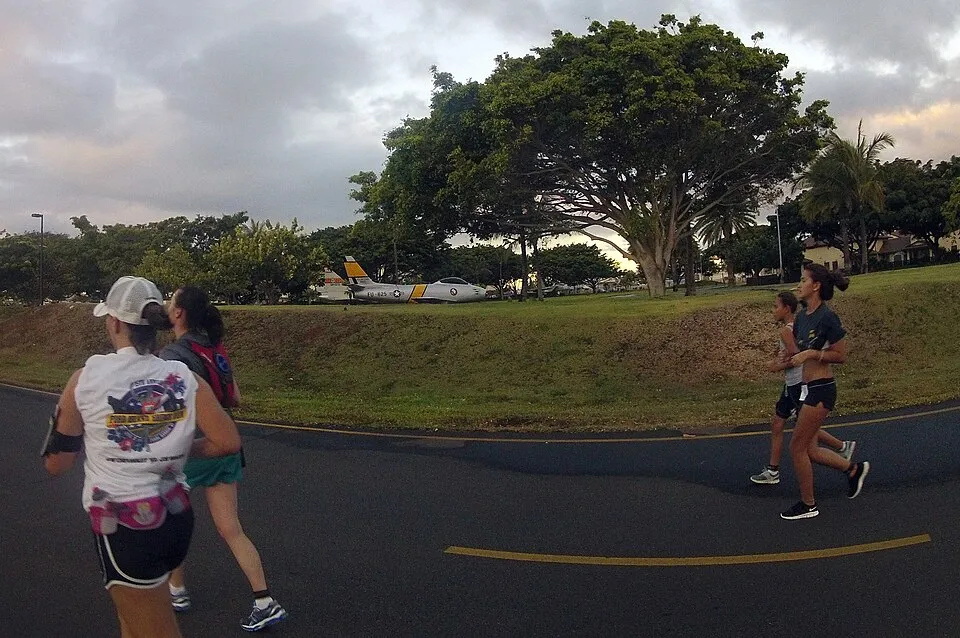 Hawaii Bird Conservation Marathon