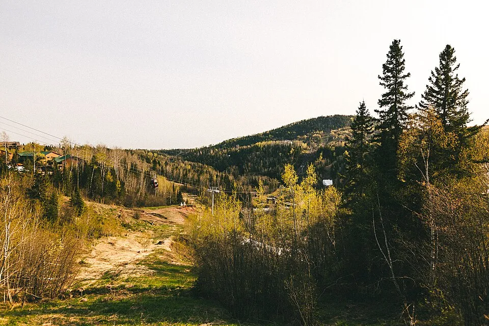 Fall Superior Trail Races Marathon