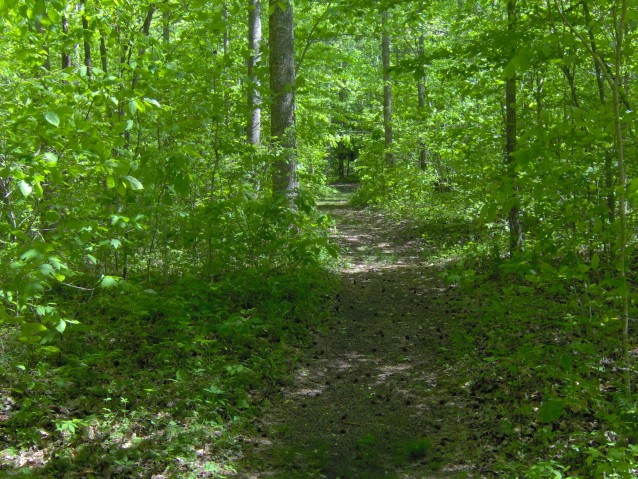 Rodeo Trail Run of Austin: Half-Marathon, Marathon Ultra, 8-HR & Backyard Ultra