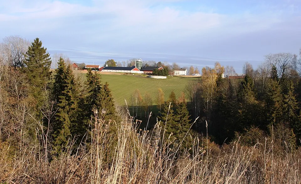 Halvmaraton Jessheim Vintermaraton
