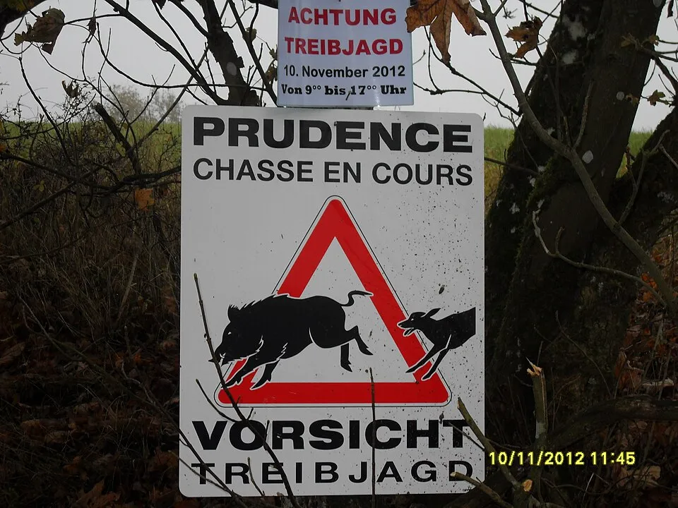Eifel Marathon